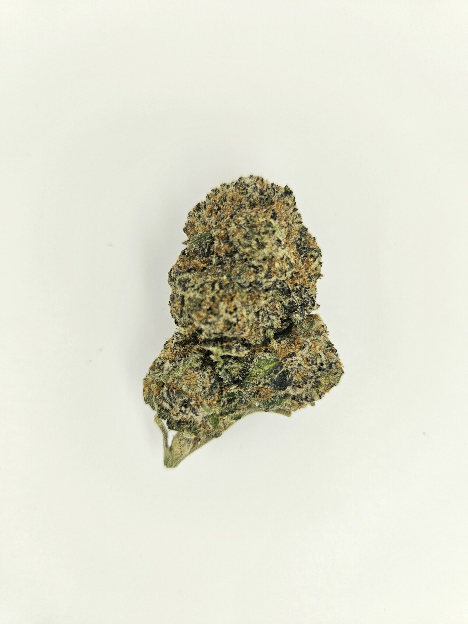 Peanut Butter Truffle THCA Flowers Better Than Nine Science and