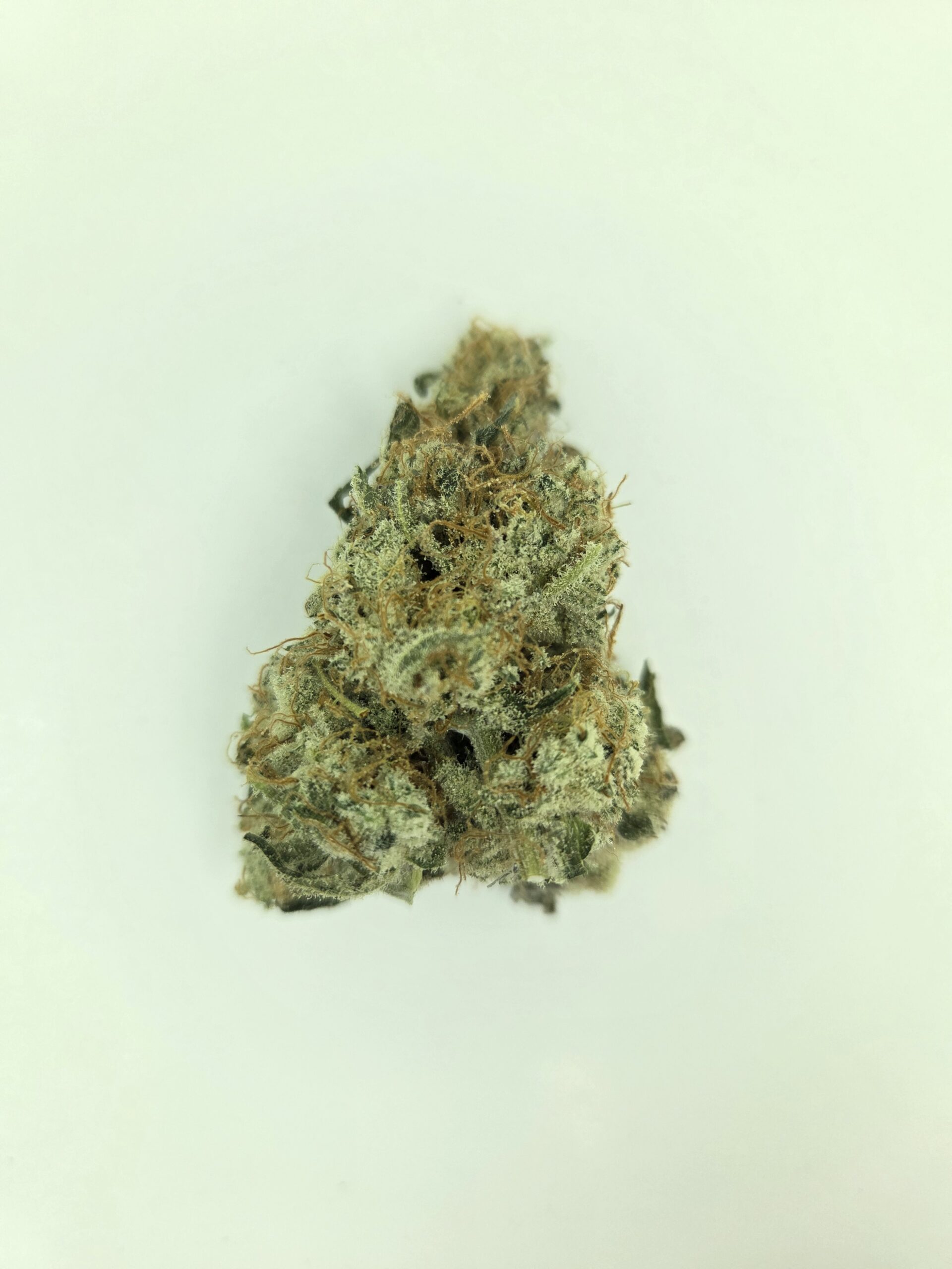 Better Than Nine Ocifer Strain THCA Hemp flowers for sale near me