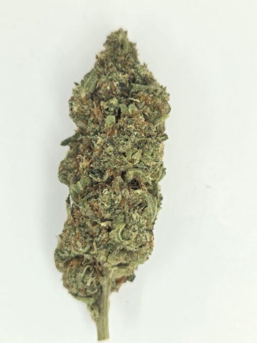 Better Than Nine has Horchata Strain THCA Hemp flowers.