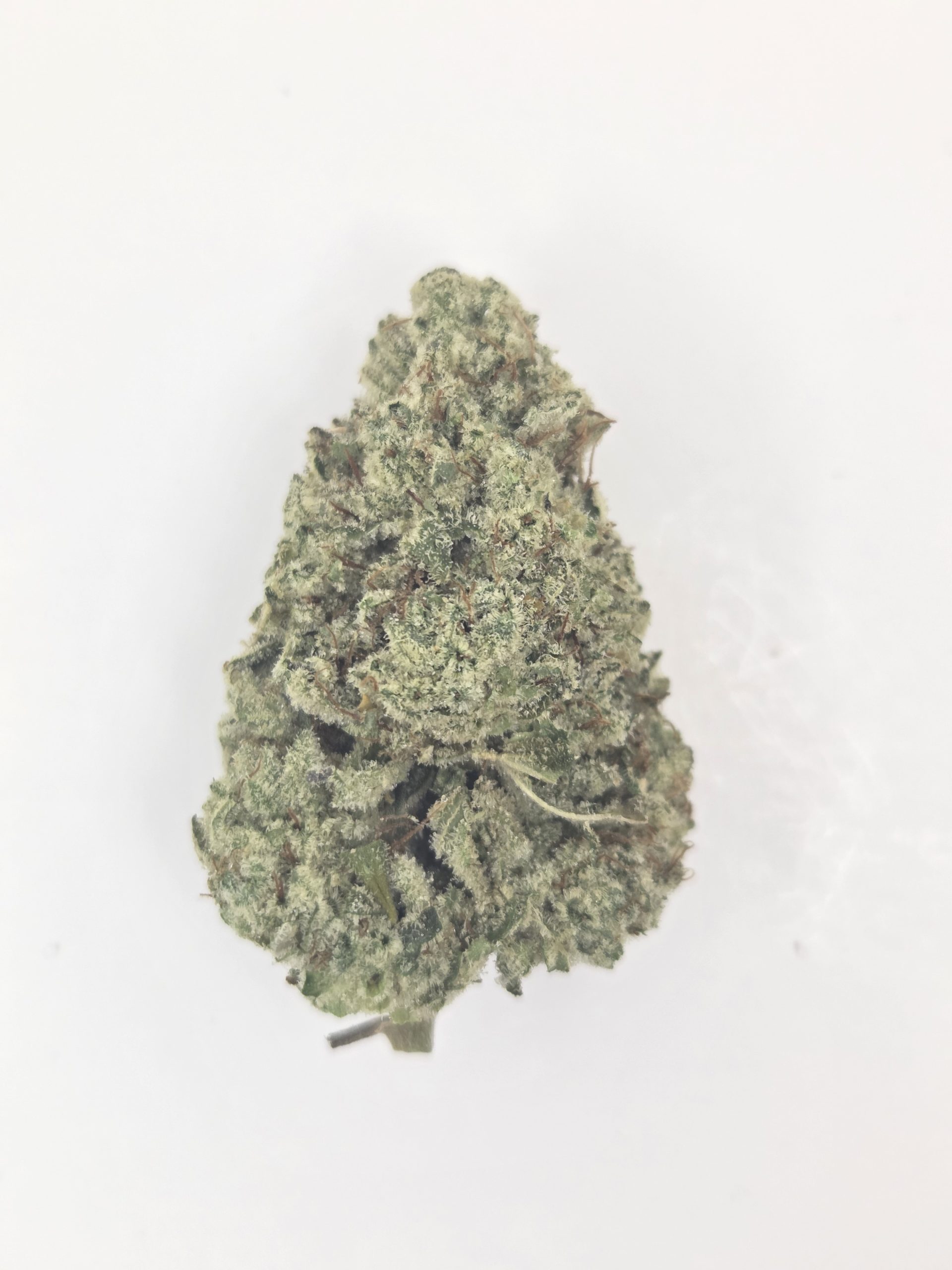 Better Than Nine Gorilla Glue Strain legal thca hemp flowers. GG#4