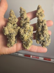 Better Than Nine March 2026 batch of Cap Junky Strain THCA hemp.