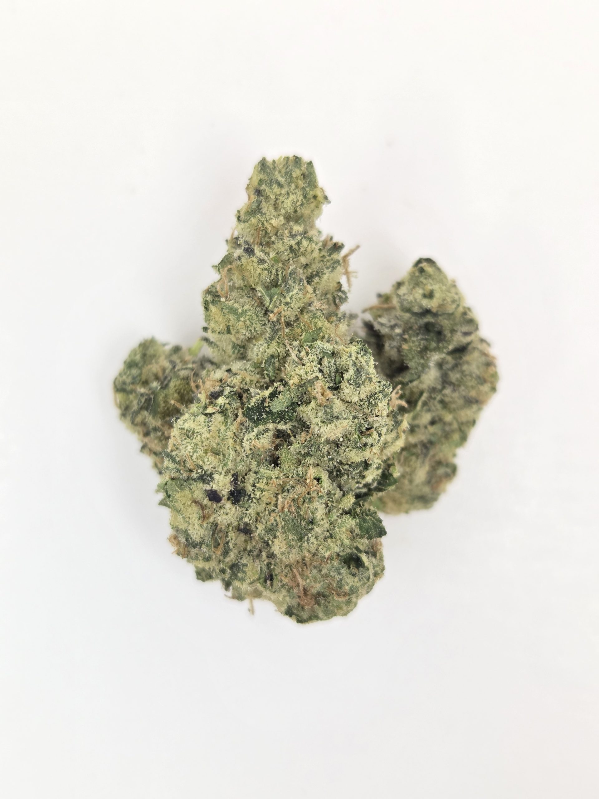 Better Than Nine Versace Strain THCA Hemp flowers for sale near me