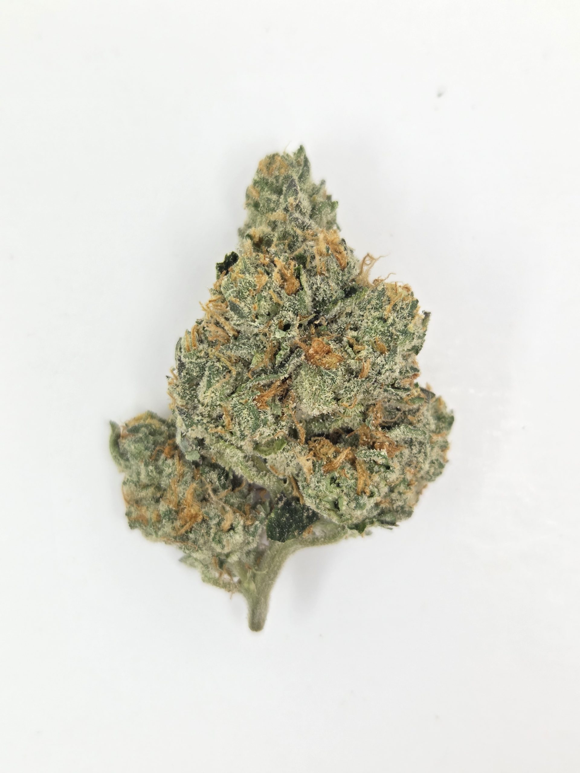 Better Than Nine Blue Lobster Strain THCA Legal Hemp Flower.