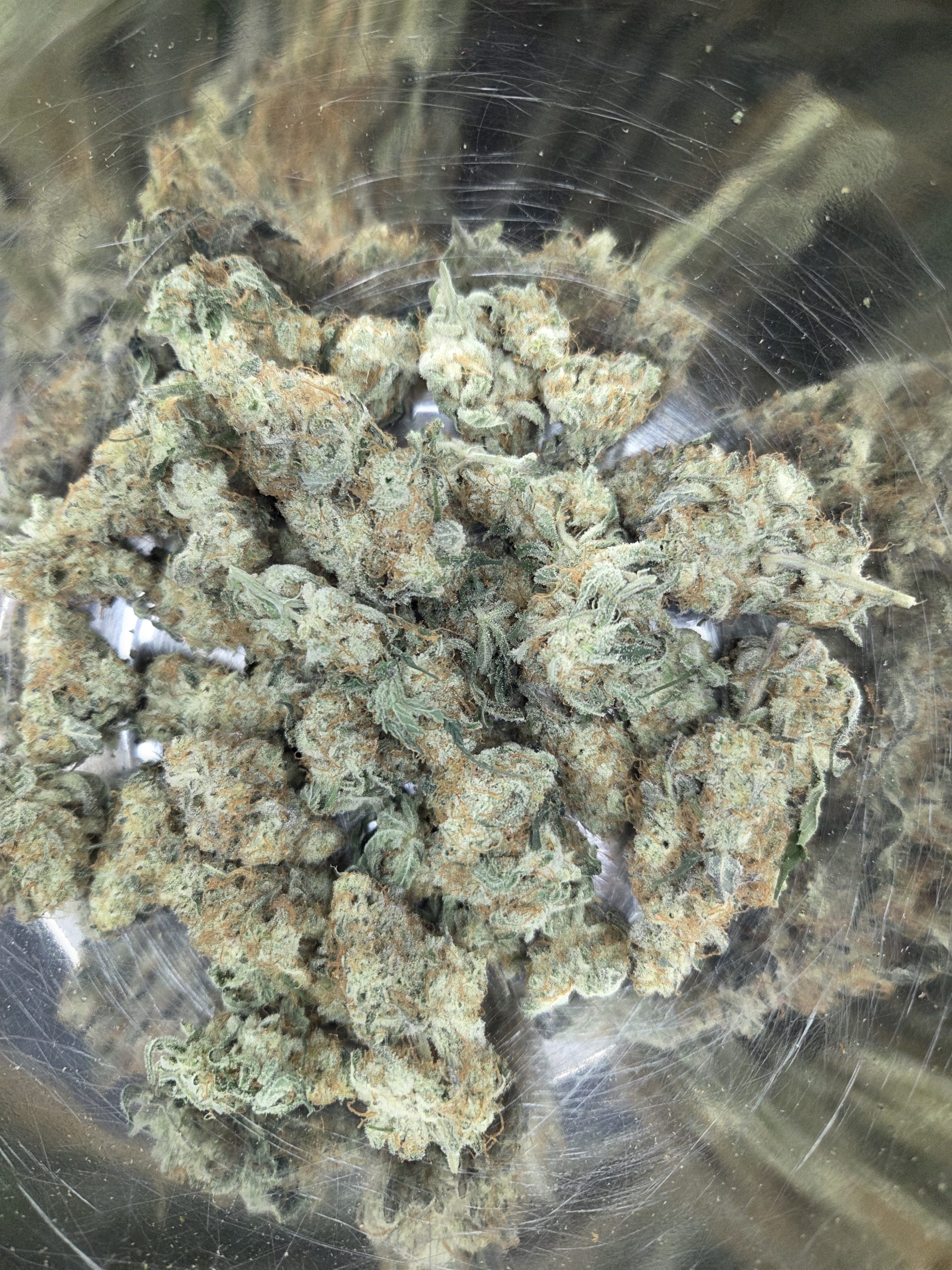 Ocifer Strain THCA Flowers