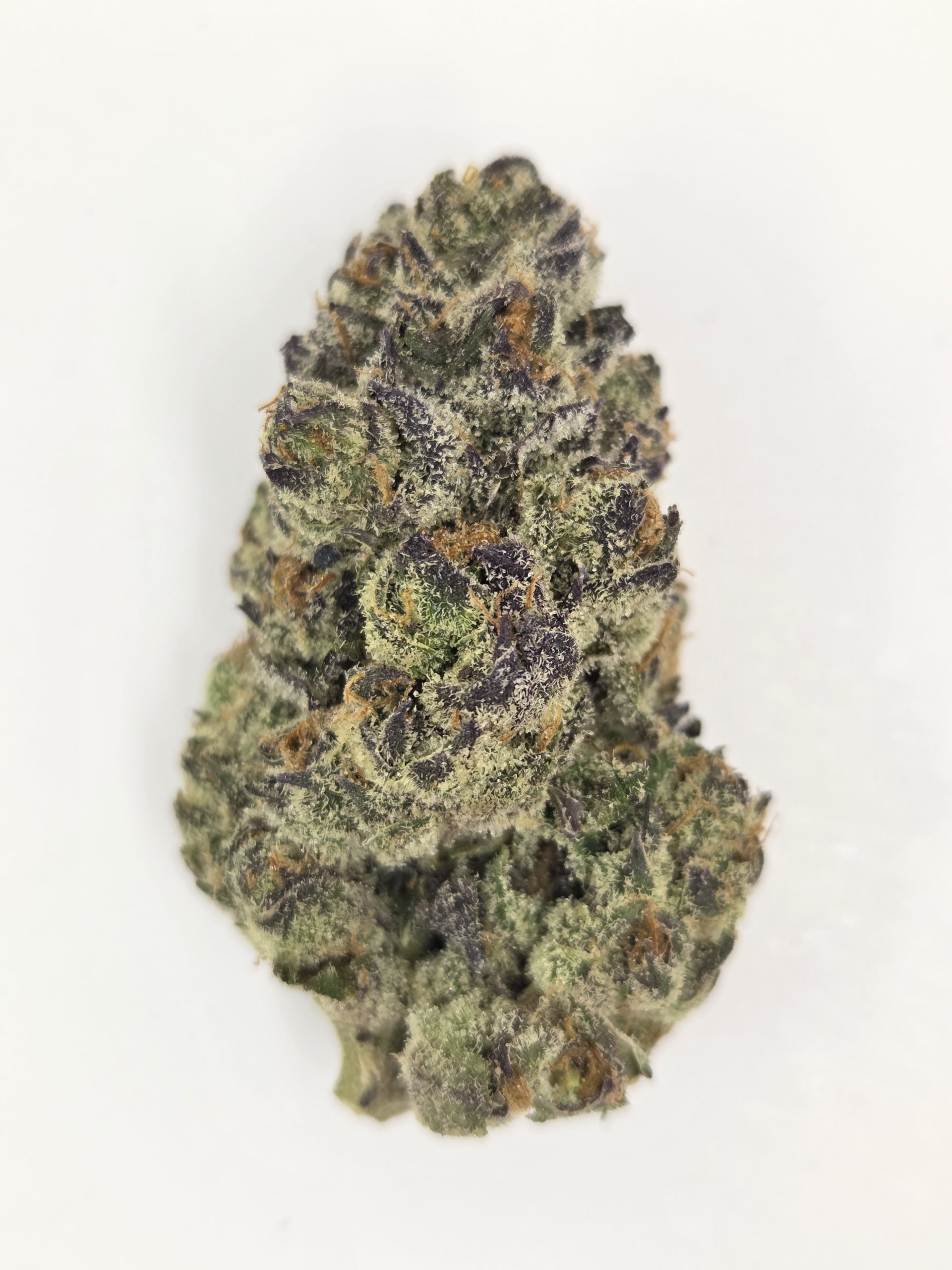 Better Than Nine Shangri La Strain THCA Legal Hemp Flower.