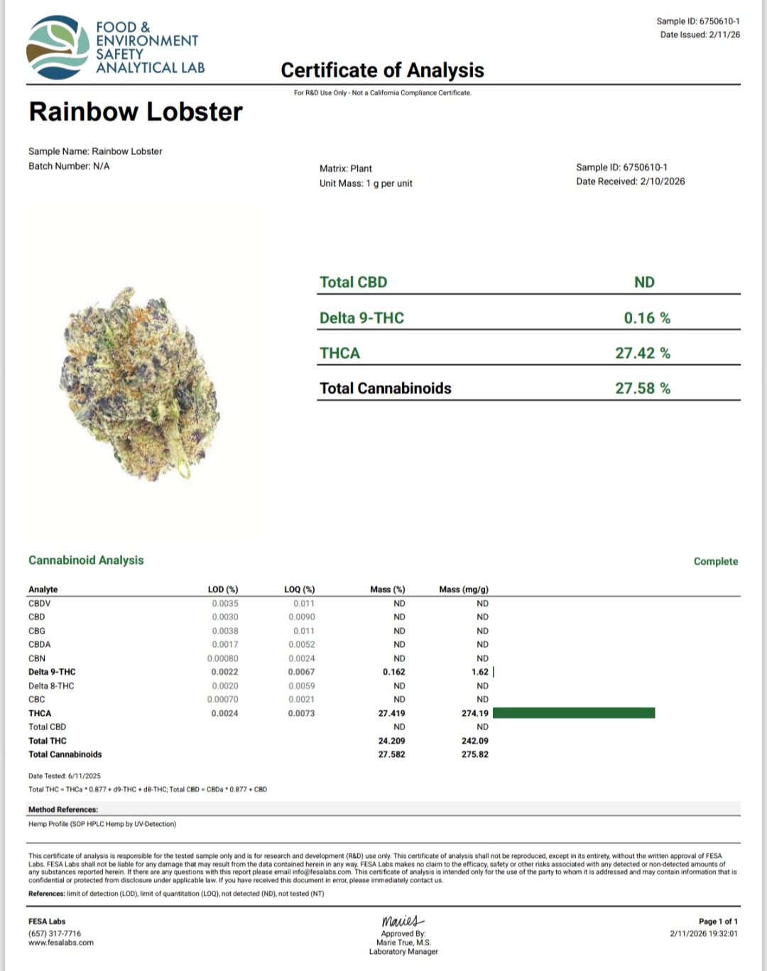 Rainbow Lobster Strain THCA legal hemp certificate of analysis