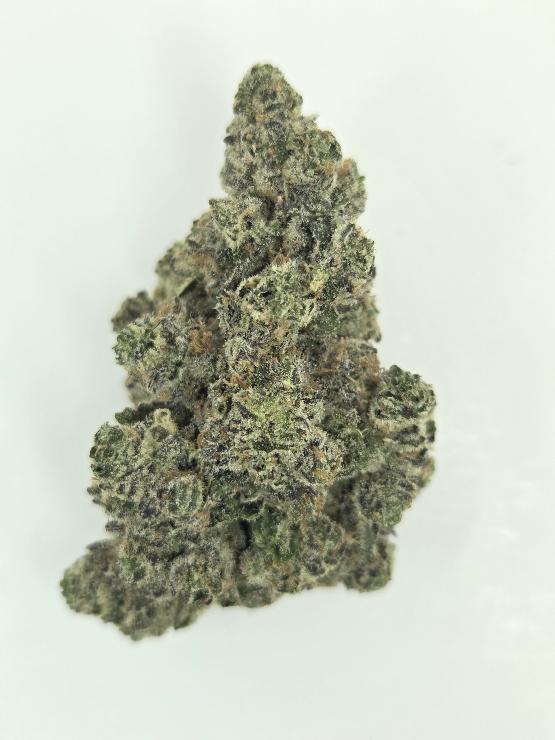 Better Than Nine Rainbow Lobster Strain THCA Legal Hemp Flower.