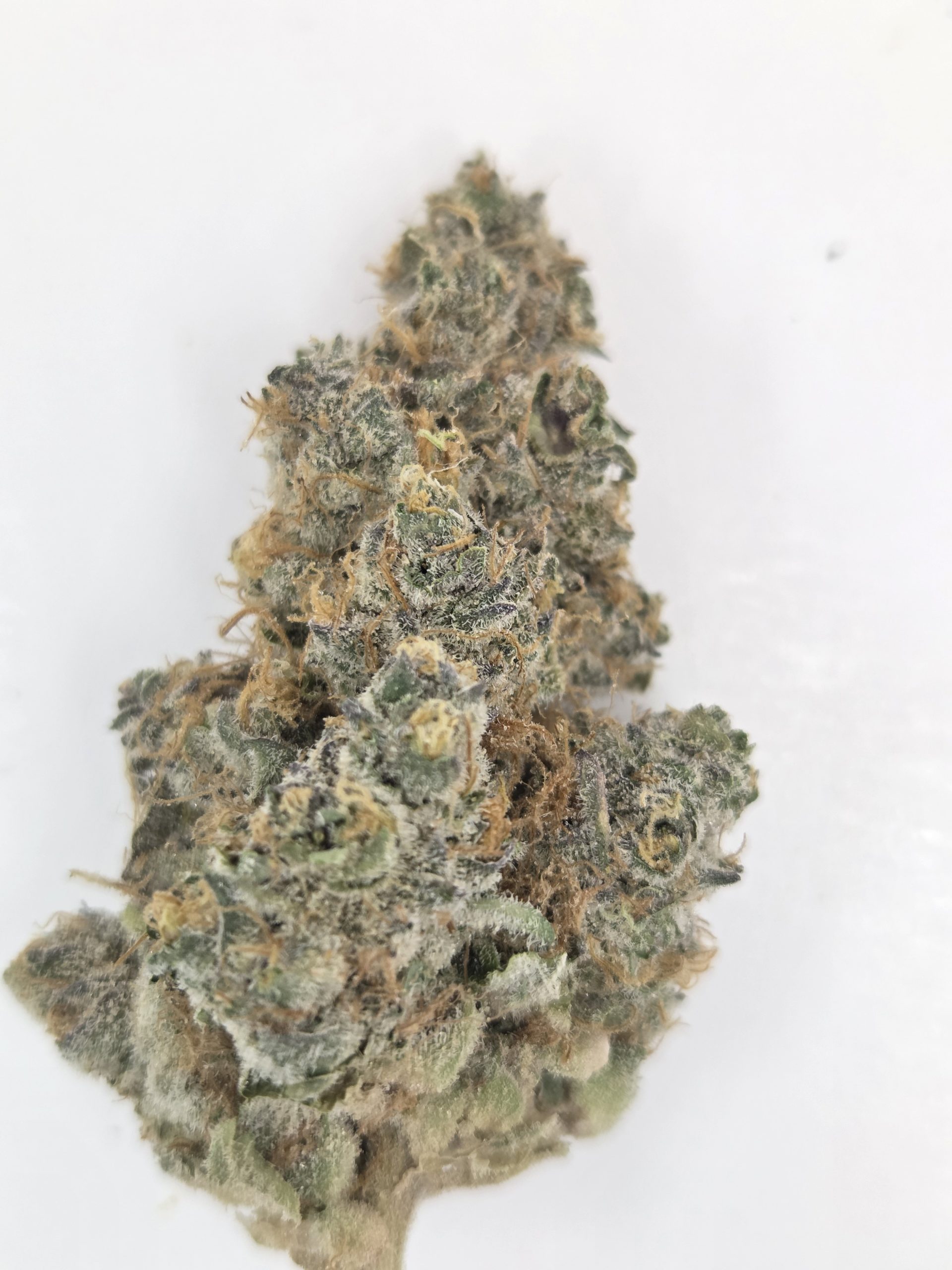 Better Than Nine Blockberry Strain THCA Legal Hemp Flower.
