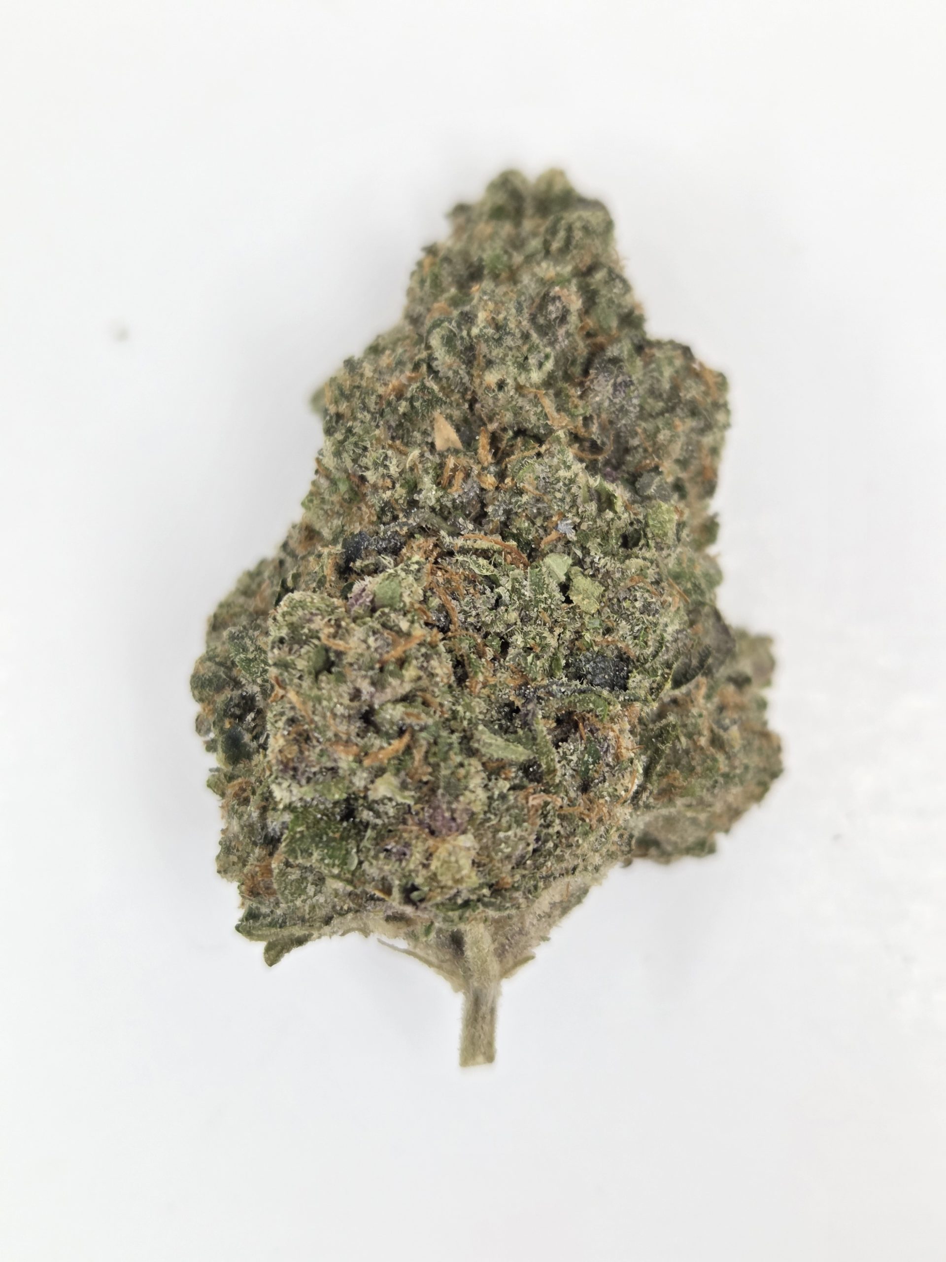 Better Than Nine Blueberry Gold Strain THCA Legal Hemp Flower.