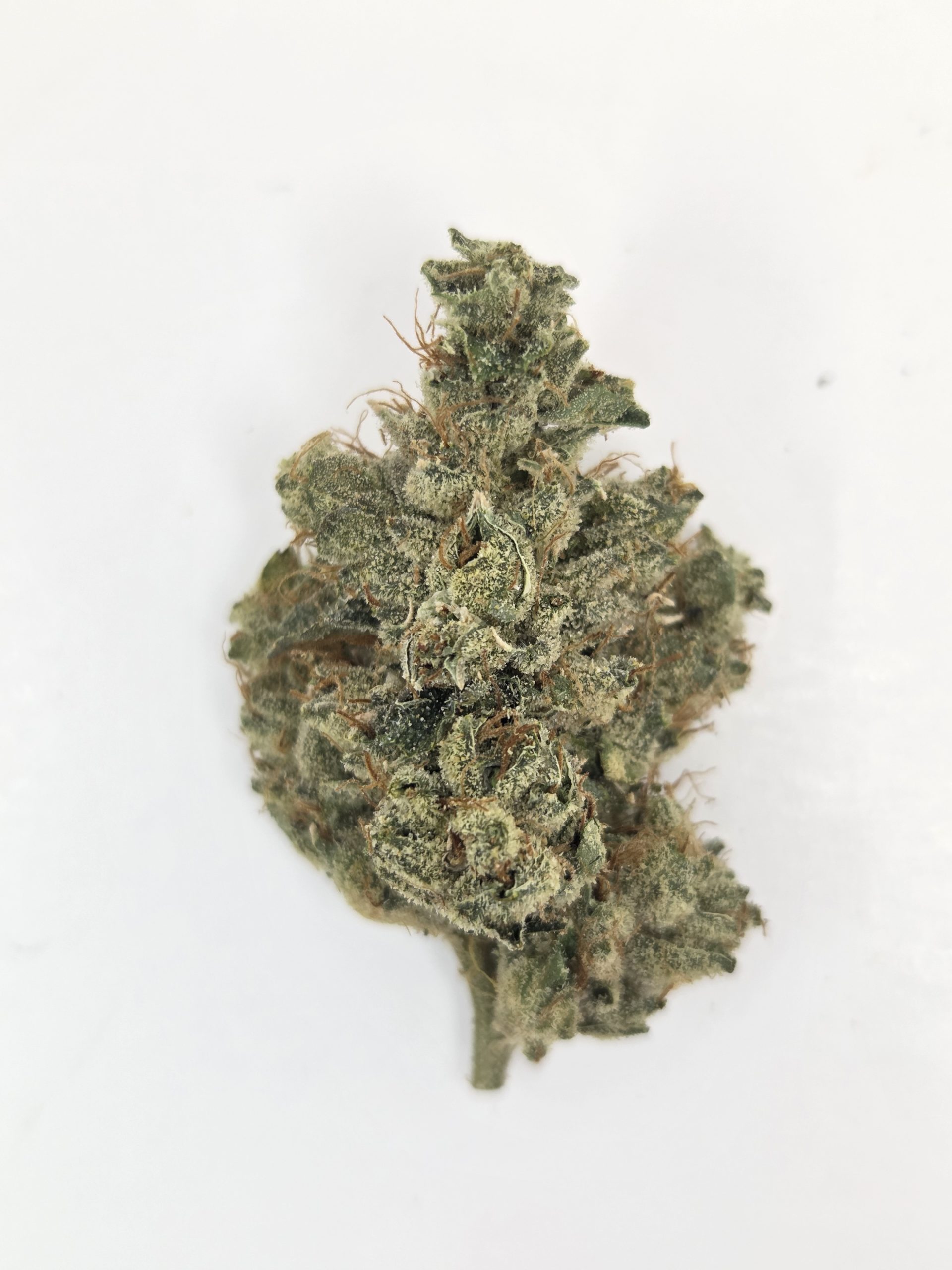 Better Than Nine Legend OG Strain THCA Legal Hemp Flower.