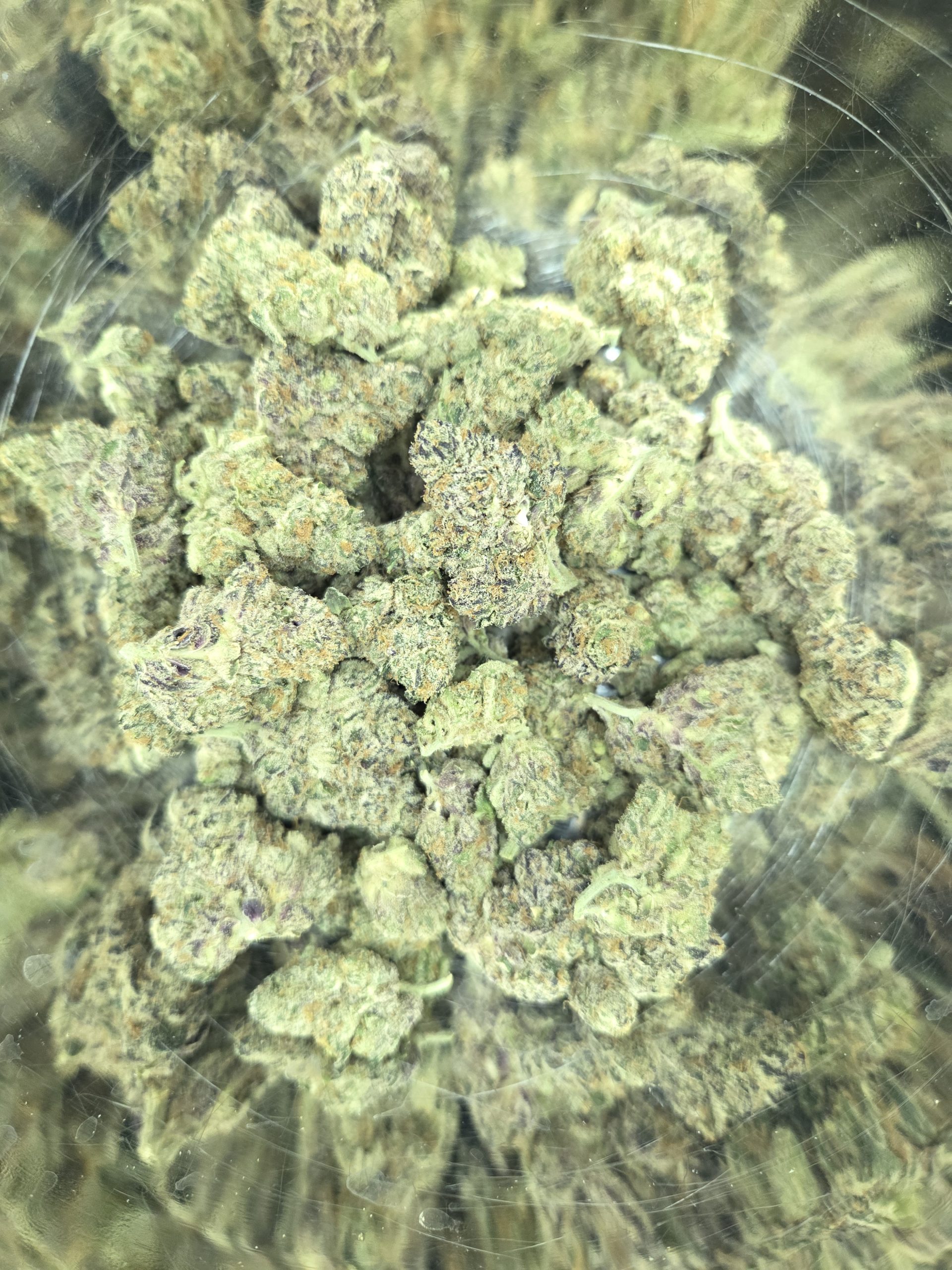 Lemon Head Strain THCA Flowers Better Than Nine Lemon Head Strain THCA Legal Hemp Flower.