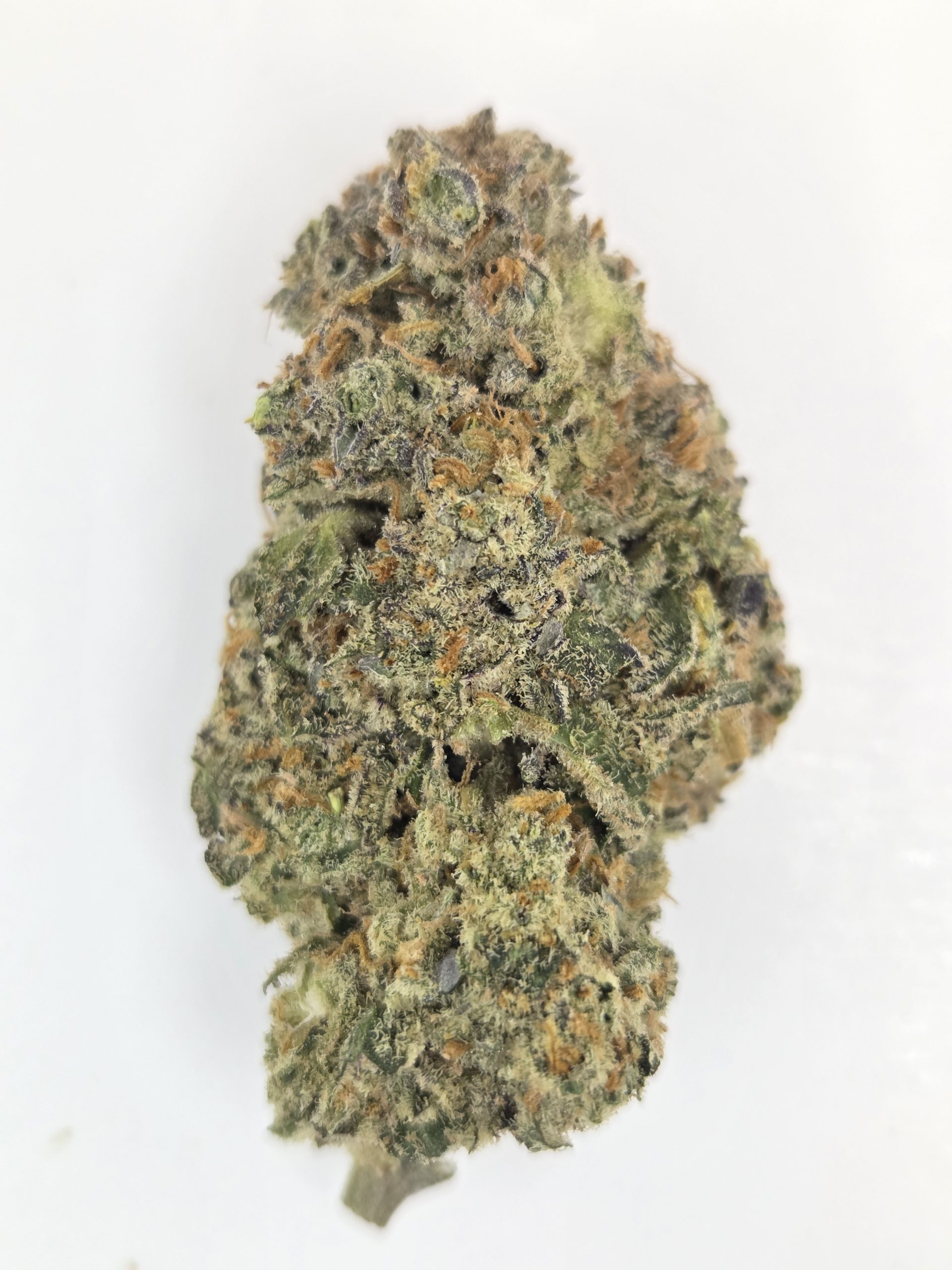 Better Than Nine Purple Bangkok Strain THCA Legal Hemp Flower.