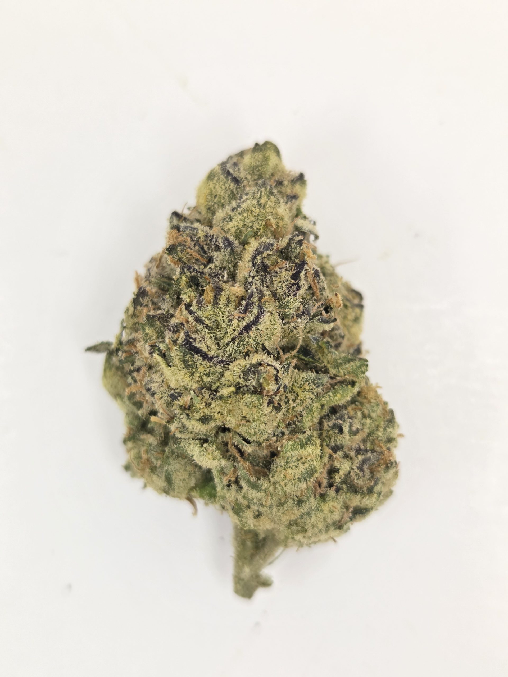Better Than Nine Versace Strain THCA Legal Hemp Flower.