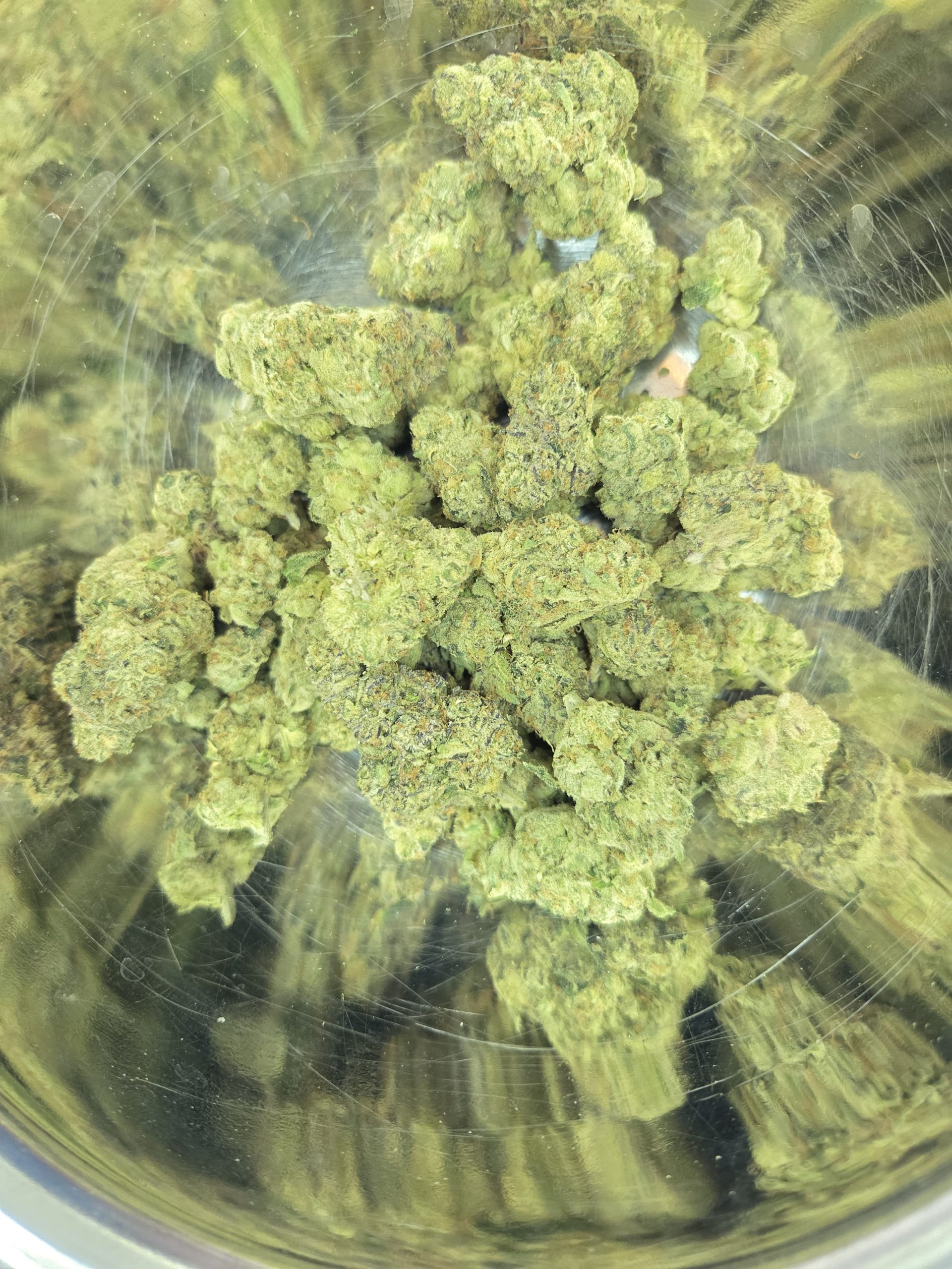 Versace Strain THCA Flowers Better Than Nine Versace Strain THCA Legal Hemp Flower.