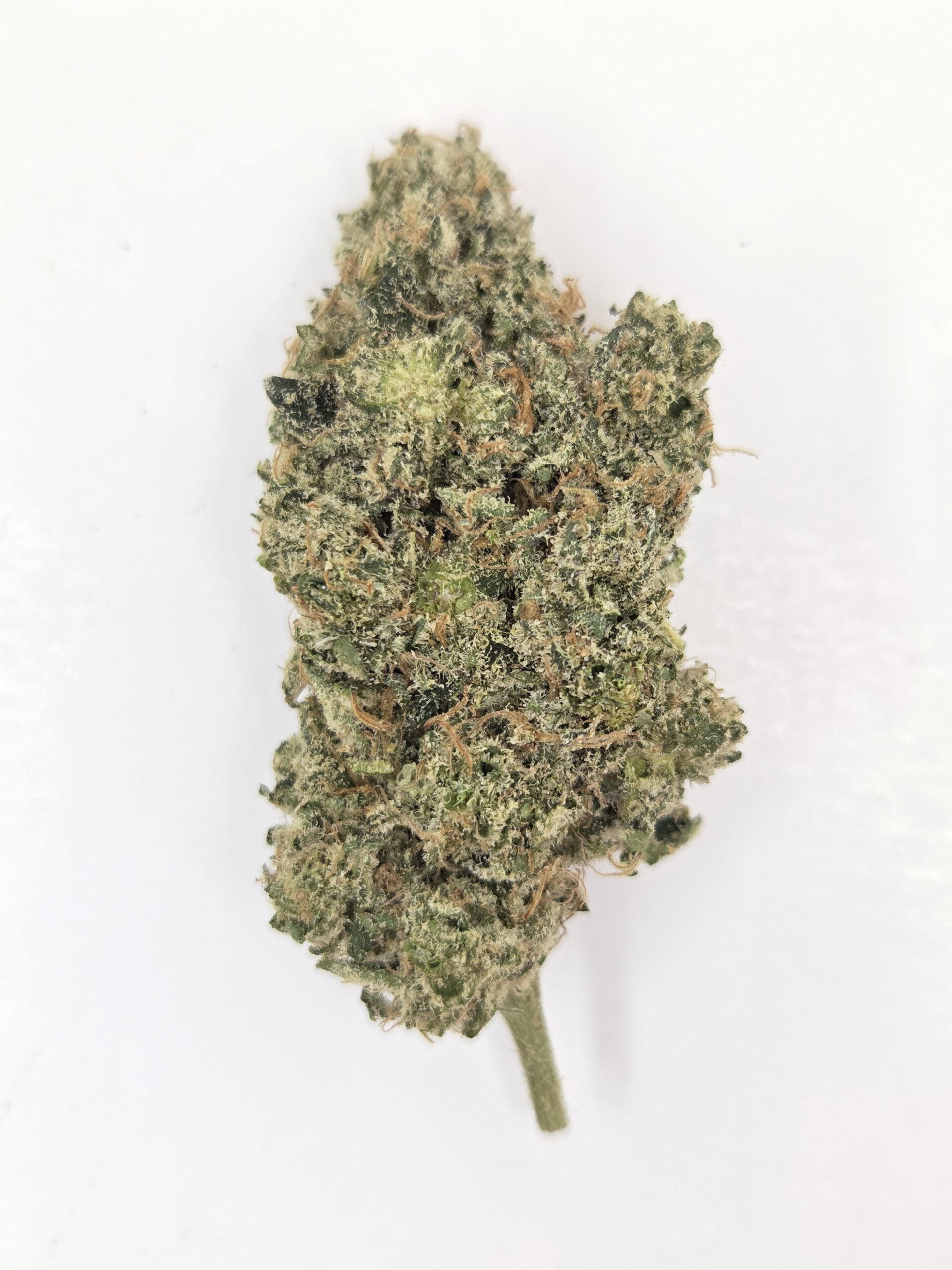 Better Than Nine Bling Cheesecake Strain THCA Legal Hemp Flowers for sale near me