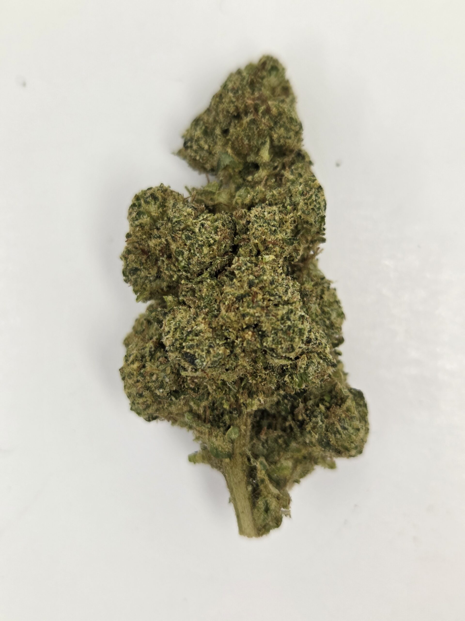 Better Than Nine Key Lime Jack Strain THCA Legal Hemp Flowers for sale near me