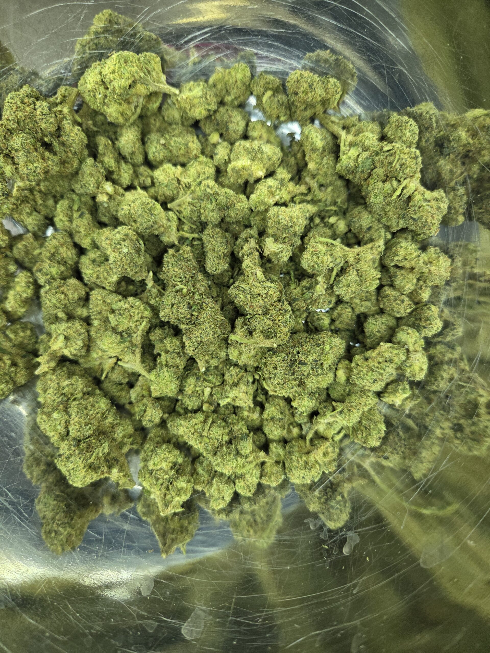 Key Lime Jack Strain THCA Flowers Better Than Nine Key Lime Jack Strain THCA Legal Hemp Flowers for sale near me