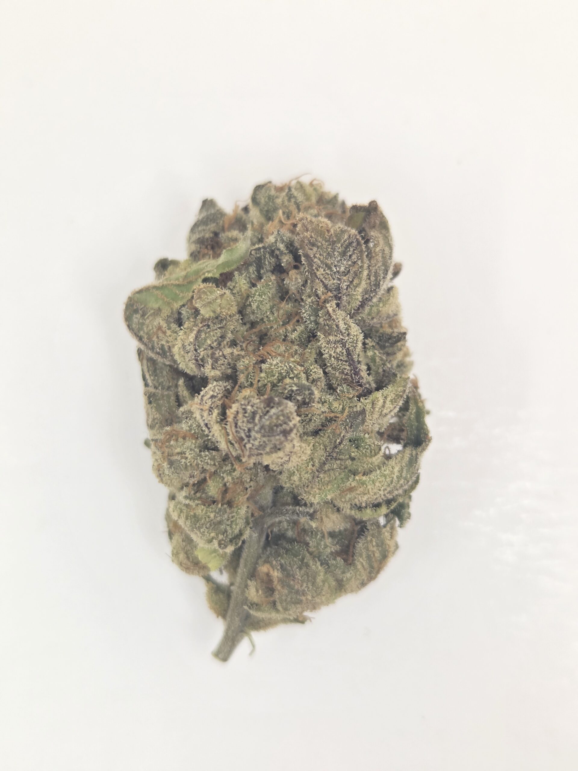 Better Than Nine Scented Marker Strain THCA Hemp flowers grown in living soil