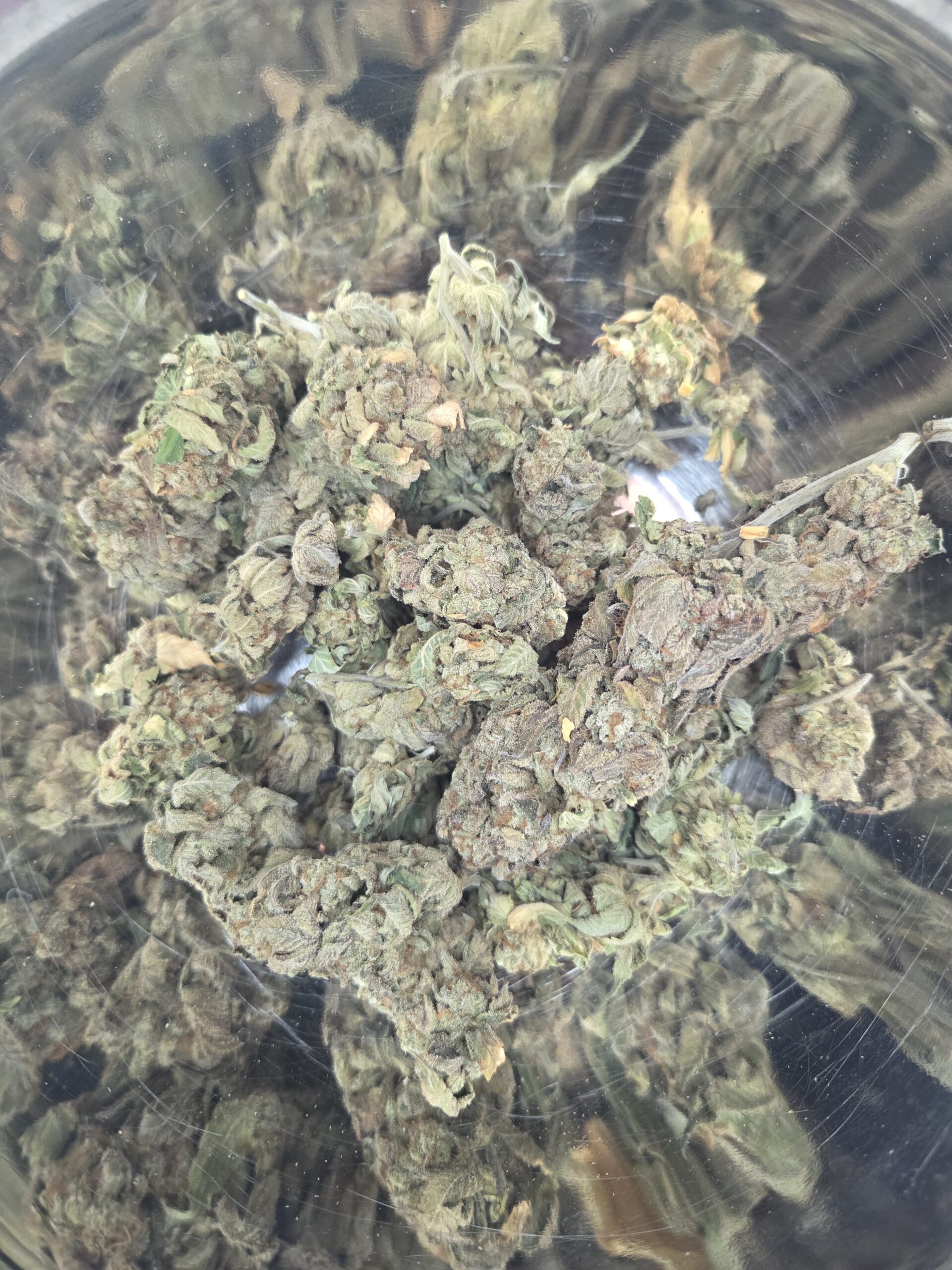 Better Than Nine Scented Marker Strain THCA Hemp flowers grown in living soil